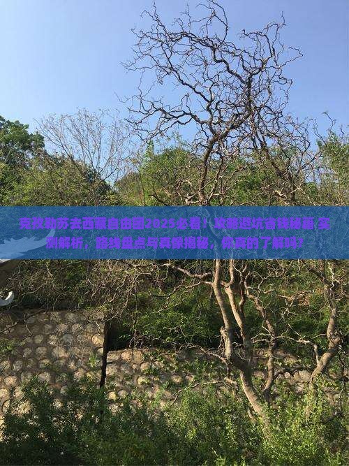 克孜勒苏去西藏自由团