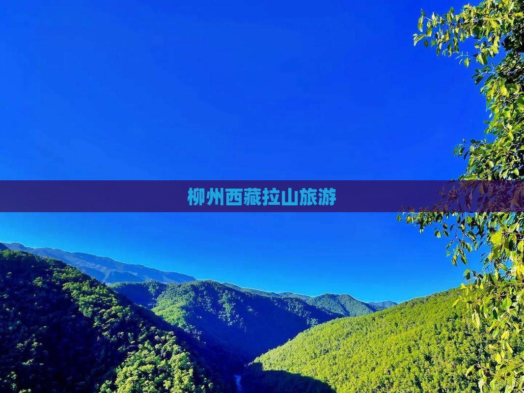 柳州去西藏色季拉山旅行社