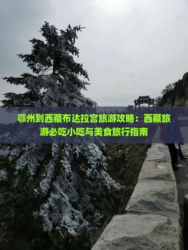 鄂州到西藏布达拉宫旅游小吃