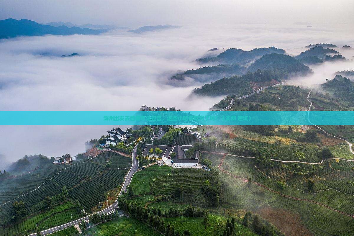 滁州去西藏布达拉宫旅游小吃