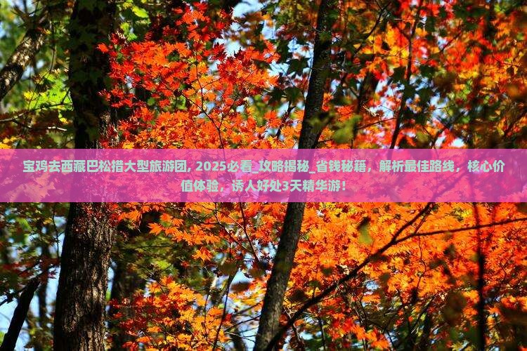 宝鸡去西藏巴松措大型旅游团