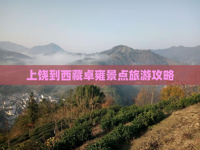 上饶到西藏羊卓雍措个人游