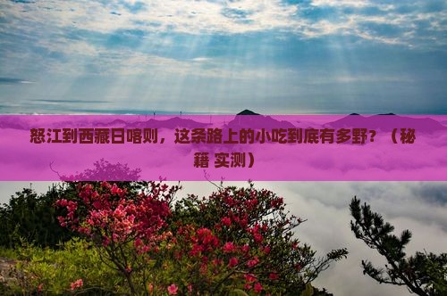 怒江到西藏日喀则旅游小吃