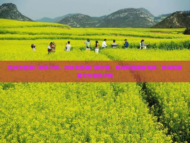 铁岭去西藏门票