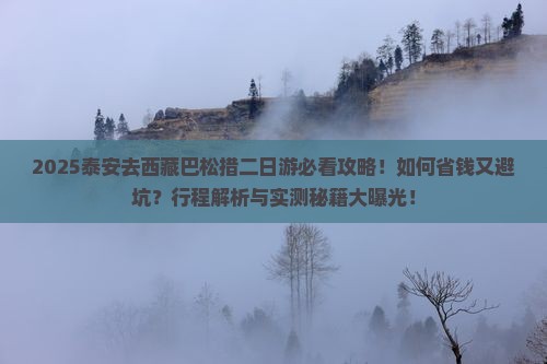 泰安去西藏巴松措二日游