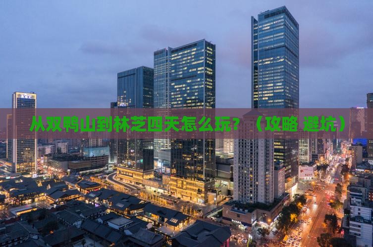 双鸭山去西藏林芝四日游