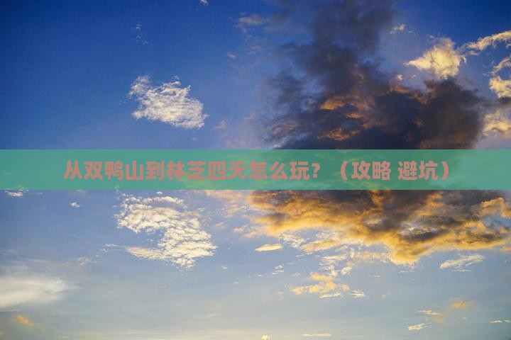 双鸭山去西藏林芝四日游