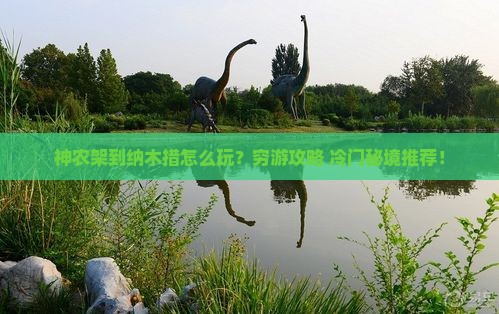 神农架到西藏纳木措哪里玩