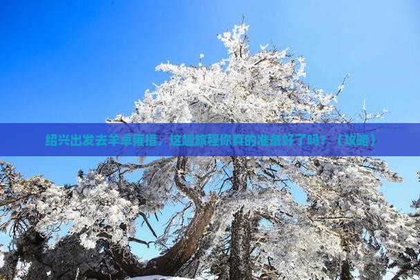 绍兴去西藏羊卓雍措哪里玩