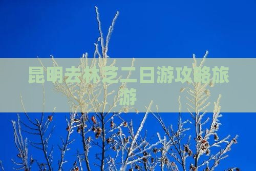 昆明去西藏林芝二日游
