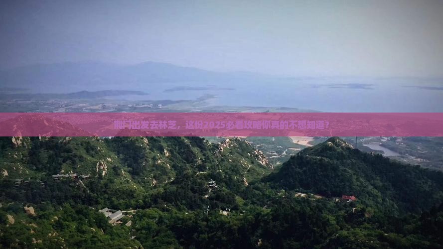 荆门去西藏林芝攻略