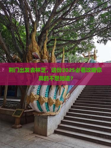 荆门去西藏林芝攻略