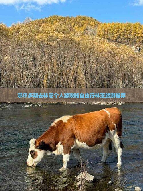 鄂尔多斯去西藏林芝个人游