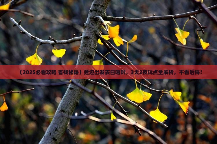 延边去西藏日喀则哪里玩