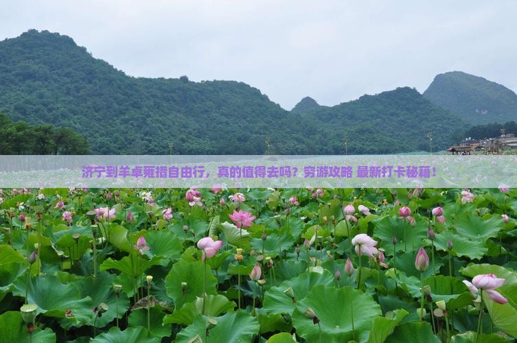 济宁到西藏羊卓雍措自由行