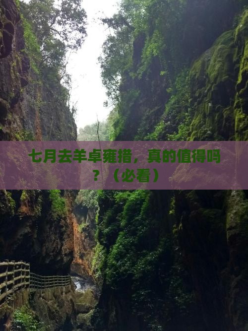 七月到西藏羊卓雍措一日