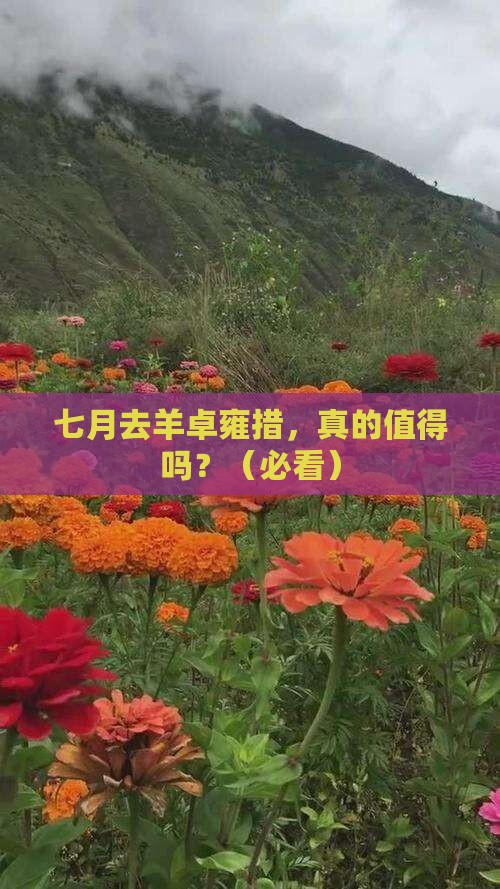 七月到西藏羊卓雍措一日