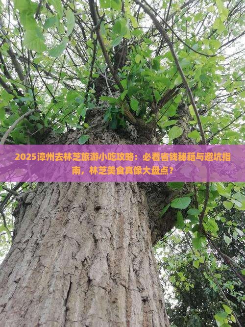 漳州去西藏林芝旅游小吃