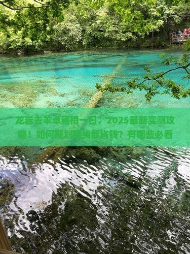 龙岩去西藏羊卓雍措一日