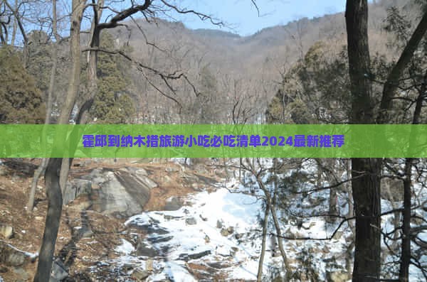 霍邱到西藏纳木措旅游小吃