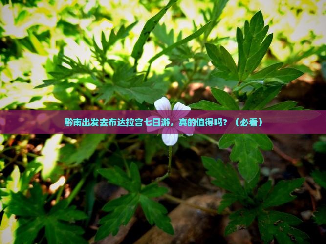 黔南去西藏布达拉宫七日游