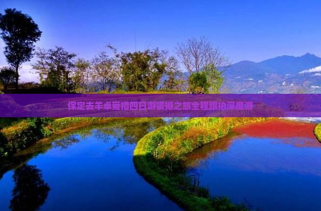 保定去西藏羊卓雍措四日游