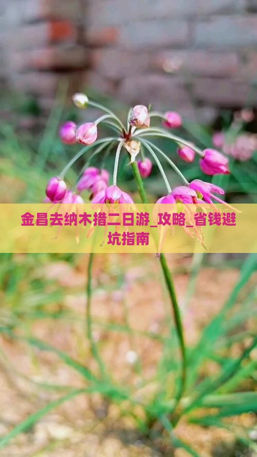 金昌去西藏纳木措二日游