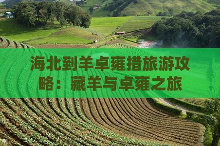海北到西藏羊卓雍措个人游
