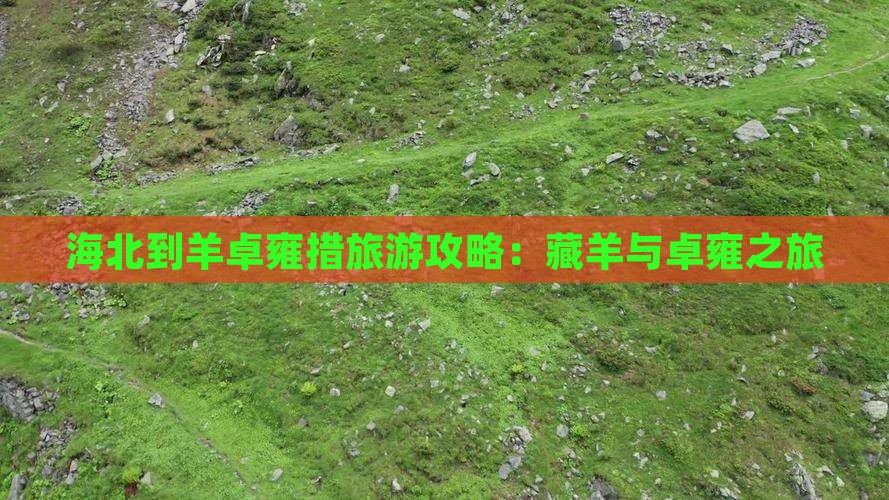 海北到西藏羊卓雍措个人游
