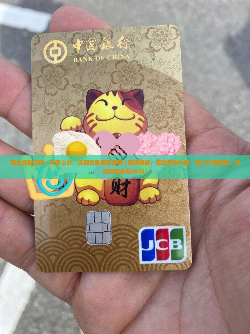 商业贷款逾期一年怎么办
