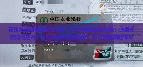 筷乐花逾期被起诉