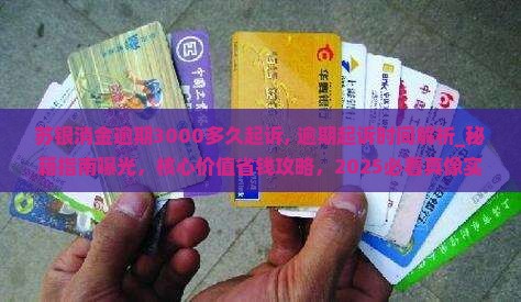 苏银消金逾期3000多久起诉