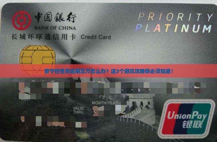 苏宁任性贷逾期五万元怎么办 苏宁任性贷逾期五万元怎么办