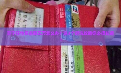 苏宁任性贷逾期五万元怎么办 苏宁任性贷逾期五万元怎么办