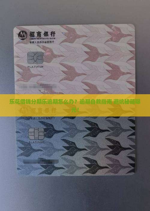 乐花借钱分期乐逾期怎么办