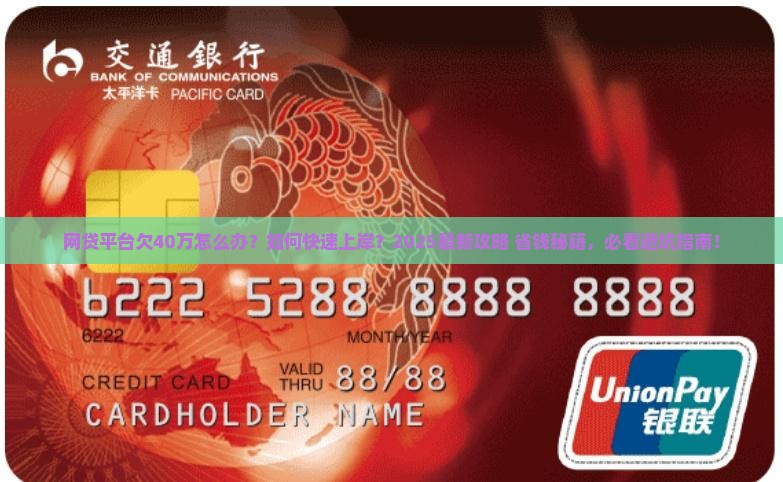 网贷平台欠40万怎么办怎么解决