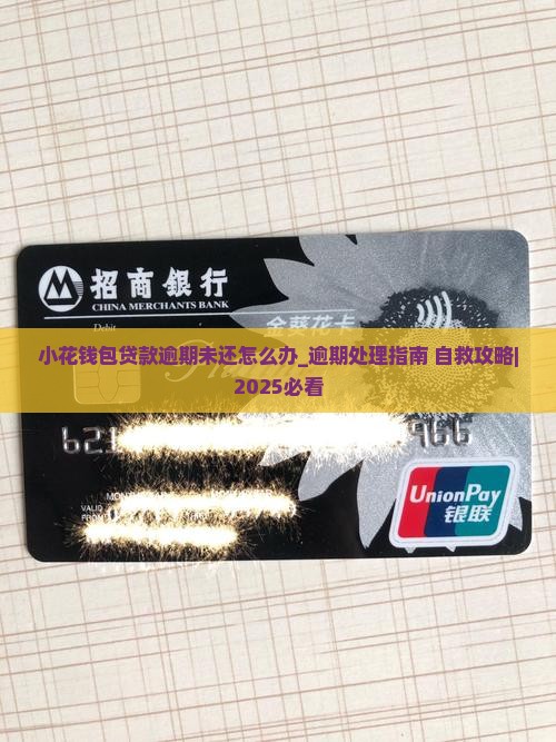小花钱包贷款逾期未还怎么办