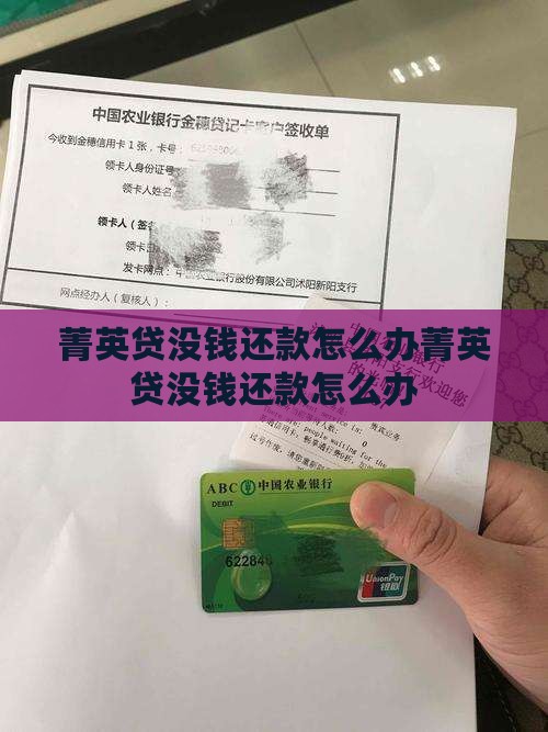 菁英贷没钱还款怎么办
