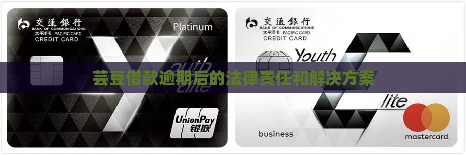 芸豆借款逾期1年后的法律责任和解决方案