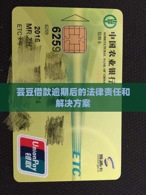 芸豆借款逾期1年后的法律责任和解决方案