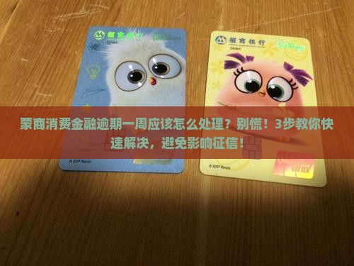 蒙商消费金融逾期一周应该怎么处理