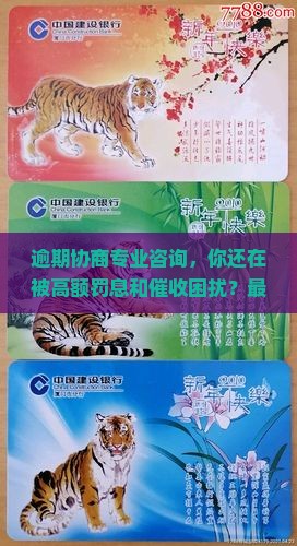 逾期协商专业咨询