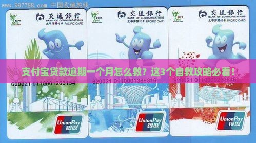 支付宝贷款逾期一个月应该怎么处理