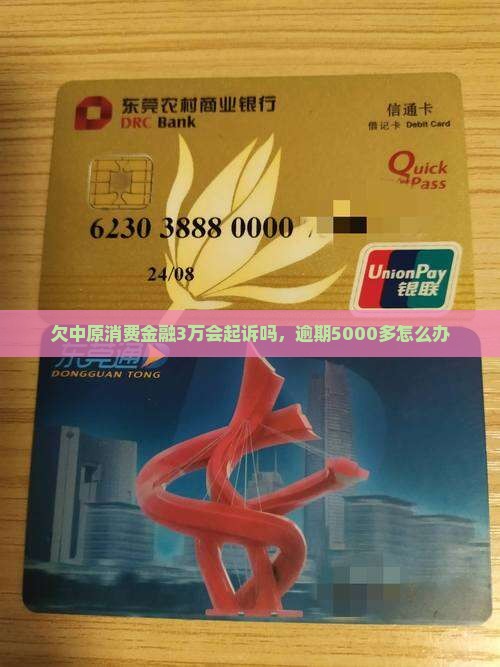 欠中原消费金融3万
