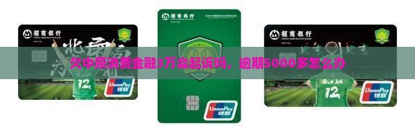 欠中原消费金融3万