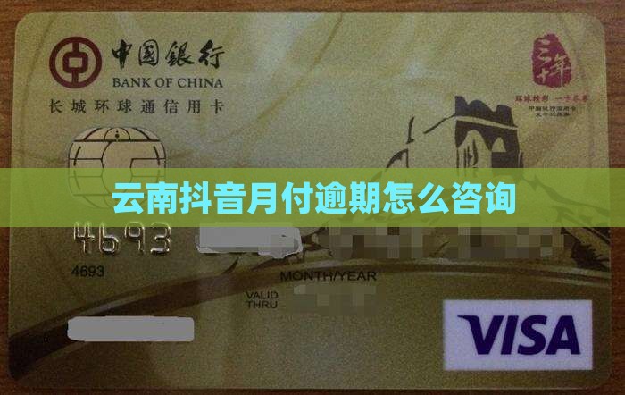 云南抖音月付逾期如何咨询