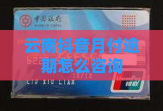 云南抖音月付逾期如何咨询