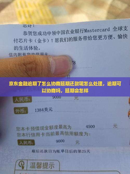 京东金融逾期了怎么协商延期还款呢怎么处理