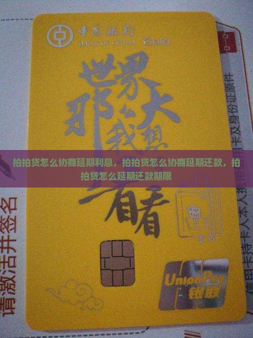 拍拍贷怎么协商延期利息