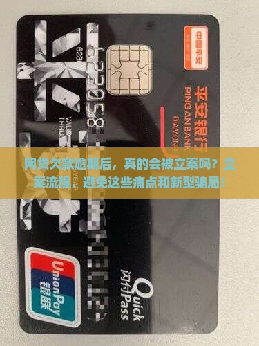 网贷欠款逾期立案流程及注意事项
